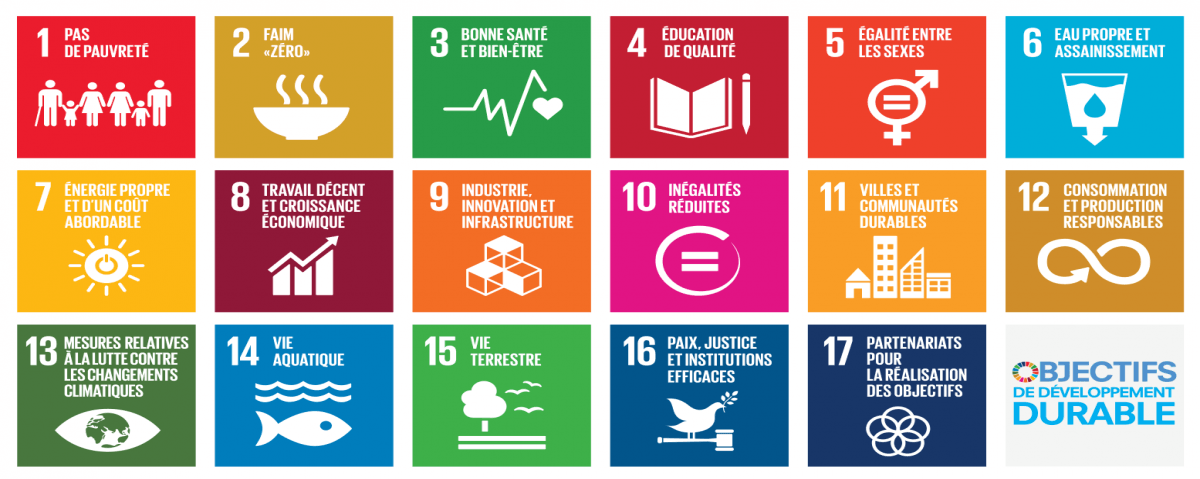 Les 17 ODD (objectifs de développement durable) définis par les Nations Unies